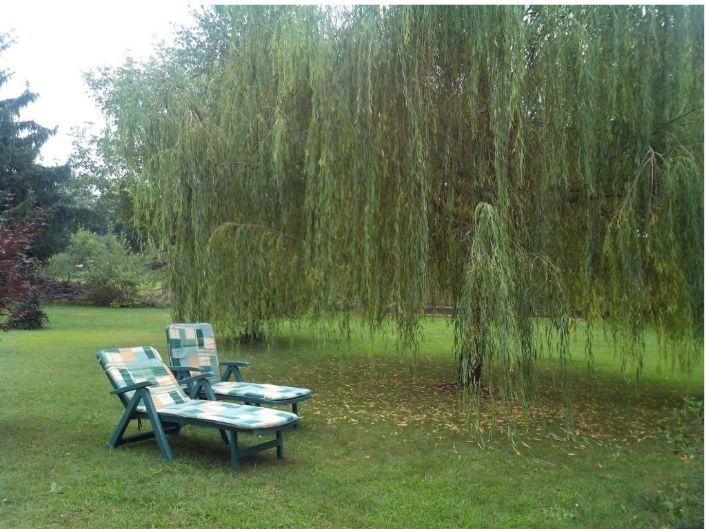 Bed & Breakfast Milu Cuneo Kültér fotó